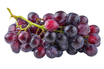 Fototapeta premium Cluster of purple grapes with green stem, water droplets