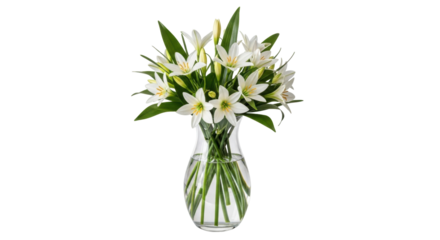 Isolated bouquet of white lilies in clear glass vase, beautiful spring flower gift item