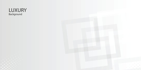 Abstract background  Grey white  geometry shine and layer element vector for presentation design. Suit for business, corporate, institution, party, festive, seminar,