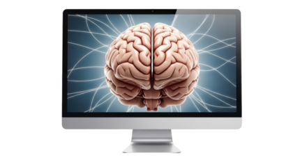 Isolated human brain, digital artwork on computer monitor for intelligence concept