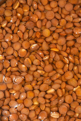 A full-frame close-up shows a densely packed texture of brown lentils completely submerged and soaking in water