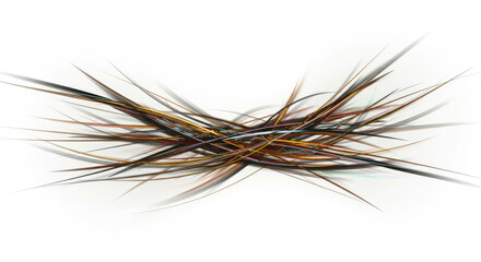 Fototapeta premium Abstract Arrangement of Fine Natural Fibers.