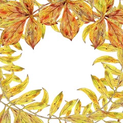 Square frame with various autumn yellow red leaves. Colored pencils illustration. For fall party and festivals, diaries and planners decorated, stickers, greeting cards and banners and clip arts