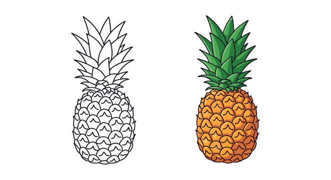 Learn how to draw a pineapple a step by step tutorial