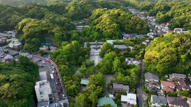 Aerial view of the great buddha revealing lush greenery interspersed with residential buildings and a bustling road with traffic, Kamakura, Tokyo, Japan.