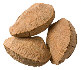 In-sell Brazil nut isolated on the white background, top view.
