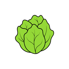 Obraz premium cabbage isolated on white background