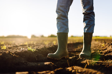 A close-up of a farmer's feet in green rubber boots in a field. A young female agronomist stands in...