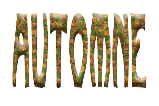 Digital composite. ..3D word Automne (French for Autumn) with an overlay of autumn leaves..season, leaf, tree, ..PNG file.
