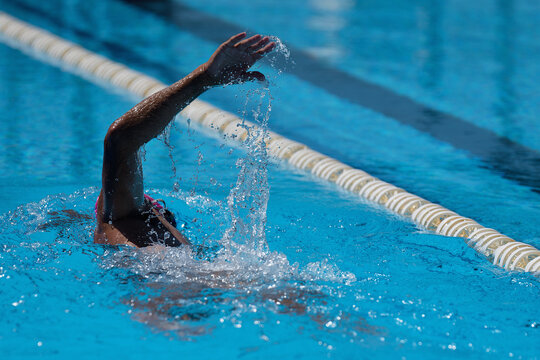 Man swims the crawl in the swimming pool