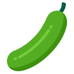 vector illustration of a cucumber