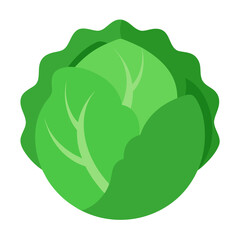 cabbage isolated on white