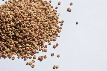 Sorghum placed on a white background