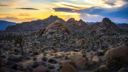 sunset at joshua tree national park in california, usa