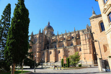 Obraz premium Catedral Nueva de Salamanca. Fachada. Salamanca. Castille y Léon- España.