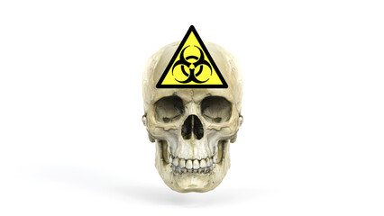 3D rendering of a human skull with danger biohazard warning, infected, virus on white background, Warning sign concept