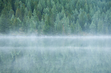 Lower Multinskoye lake covered with mist in the morning, green trees on the shore mirroring in its water, the Altai Republic, Russia