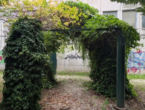 Vegetazione all'entrata del bosco didattico in Umbria