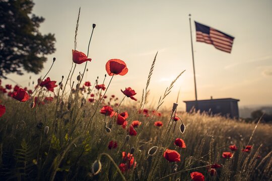 Red poppies in a field with american flag at sunset