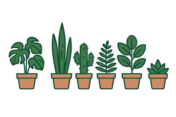 Six popular indoor potted houseplants in terracotta pots arranged in a row