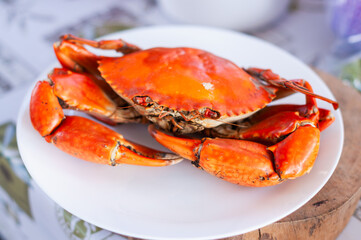 Delicious fresh crab dish coastal restaurant culinary experience ocean view gourmet seafood