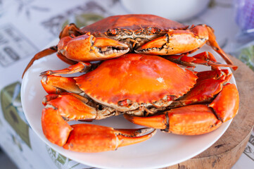 Delicious crab feast coastal restaurant food rustic setting close-up culinary delight