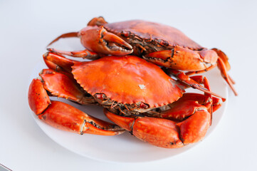 Delicious blue crabs feast coastal restaurant food bright kitchen close-up seafood delight