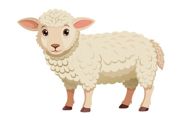 Fototapeta premium Cute cartoon sheep standing looking forward on white background