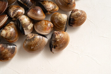 Obraz premium Raw fresh clams seafood in a sieve on white table background.