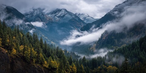 Obraz premium Majestic Mountains in Fog: A breathtaking panorama of towering peaks and lush forests veiled in a misty, ethereal fog, creating a scene of serene natural beauty.
