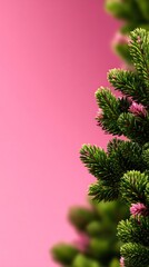 A close-up view of vibrant green foliage against a soft pink background, showcasing nature's beauty and tranquility.