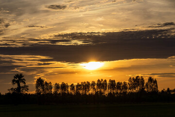 sunset over the field