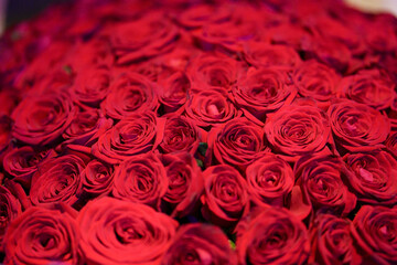 Red roses arranged for a special occasion in a spring garden