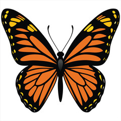 Colorful Butterfly Vector,Monarch Butterfly Illustration,Insect Silhouette Design,Butterfly vector,Butterfly design,Butterfly concept,Butterfly art,Butterfly topics,Butterfly doodle, 