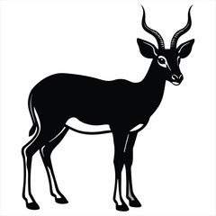 Antelope Silhouette Vector, African Wildlife Illustration,Elegant Wild Animal Design in Black and White,antelope vector,antelope design,antelope concept,antelope art,antelope topics,antelope doodle, 