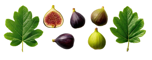 Assortment of fresh figs and green leaves on transparent background
