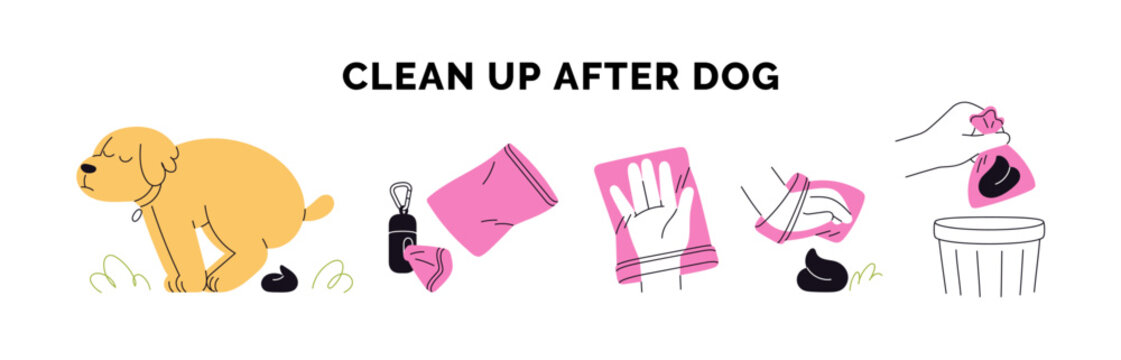 Clean up after dog, infographic. Puppy pooing, poop cleanup with hand and bag, throwing collected feces to trash bin. Pet waste, hygiene. Flat vector illustration isolated on white background.