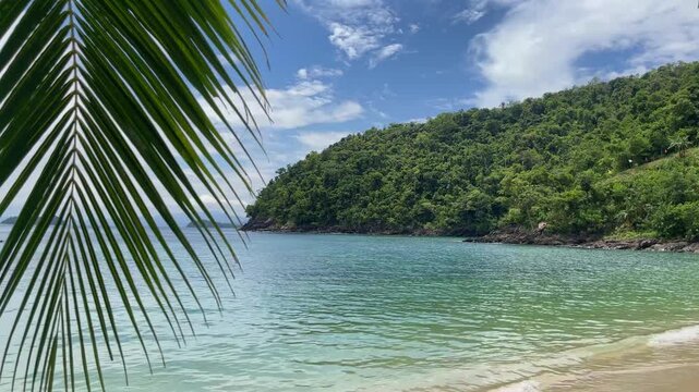 Calm turquoise cove at Port Barton with palm fronds in the foreground and a forested rocky headland rising above clear shallow water