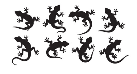  lizards silhouettes set of six silhouettes of lizards vector illustration