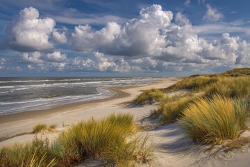 Coastal dune landscape under a dramatic sky