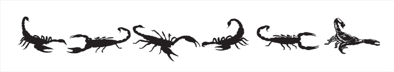 scorpion silhouette on white background
