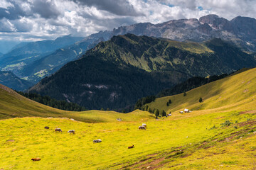 Scenic Mountain Landscape in the Dolomites, Italy. 
Alpine Meadow with Peaks of the Dolomites