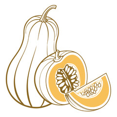 ambercup squash on white background 