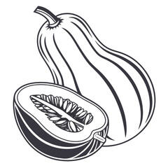 ambercup squash vector