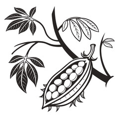 adzuki bean on white background 