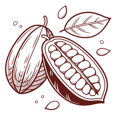 adzuki bean on white background 