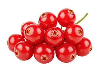 Isolated Redcurrant bunch for food and beverage applications, natural and healthy eating