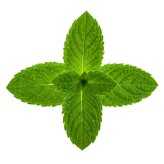 Vibrant green mint leaves arranged in a cross shape, isolated against a stark black backdrop