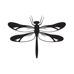 Dragonfly silhouette, Silhouette dragonfly isolated flat design black and white vector illustration, Black vector illustration on white Background