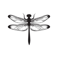 Dragonfly silhouette, Silhouette dragonfly isolated flat design black and white vector illustration, Black vector illustration on white Background